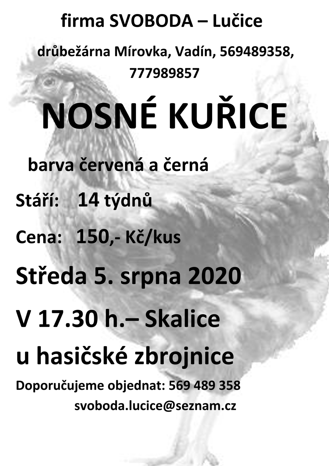 Prodej kuřic ve Skalici